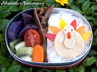 Turkey Bento