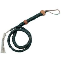 Bullwhip